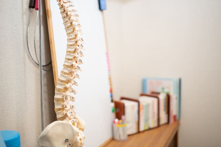 整骨院でのストレートネック改善法